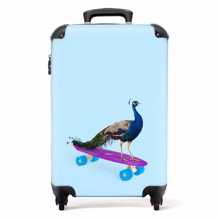 Suitcase - Passing peacock — 1