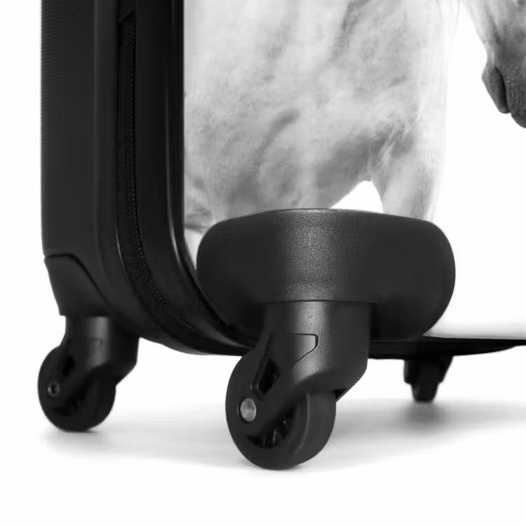 Suitcase with name - Sympathetic span — 7