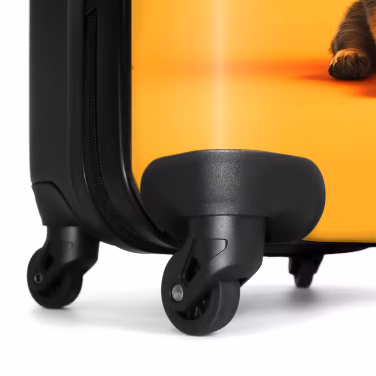 Suitcase with name - Hein shepherd — 7