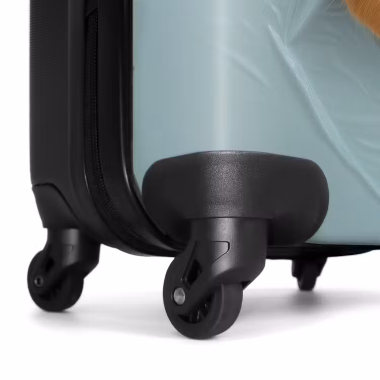 Suitcase - Lion with orange mane through plastic wall — 7