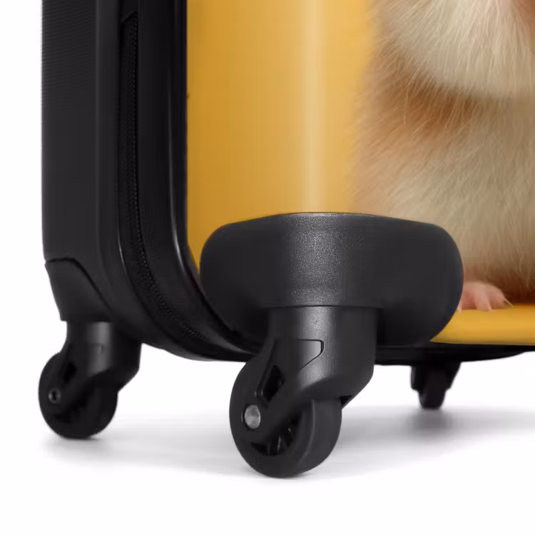 Suitcase - Hamster with a nut on a yellow background — 7