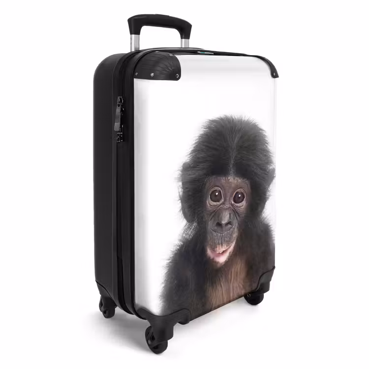 Suitcase - Charlie Chimp — 2