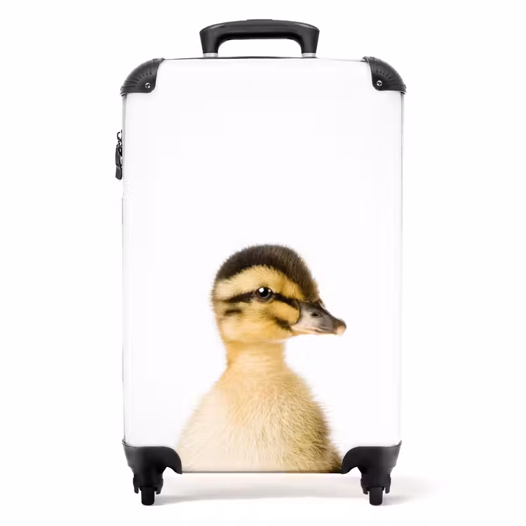 Suitcase - Daisy Duck — 1