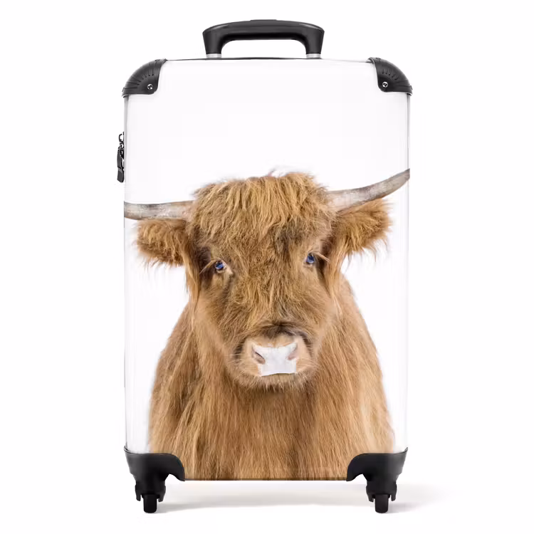 Suitcase - Halbe Highlander — 1