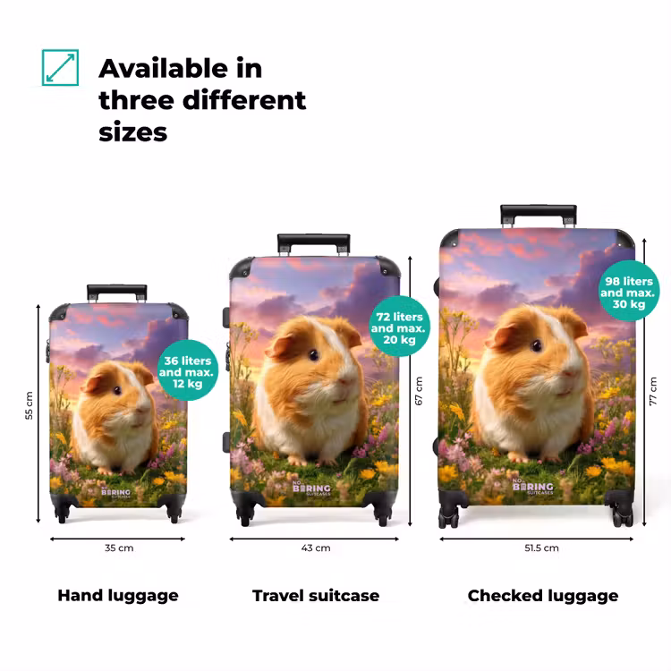 Suitcase - Hamster among flowers with sunset — 3