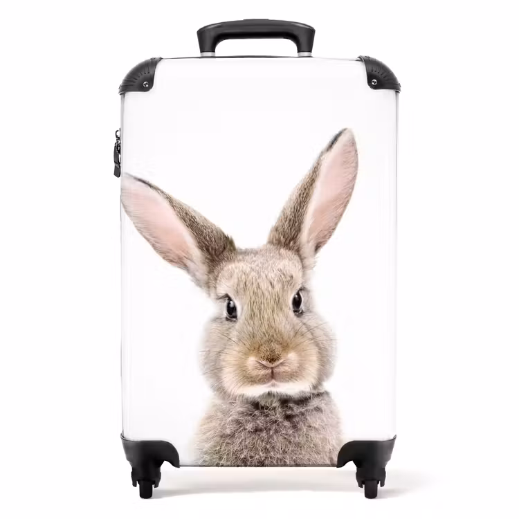Suitcase - Koen Rabbit — 1
