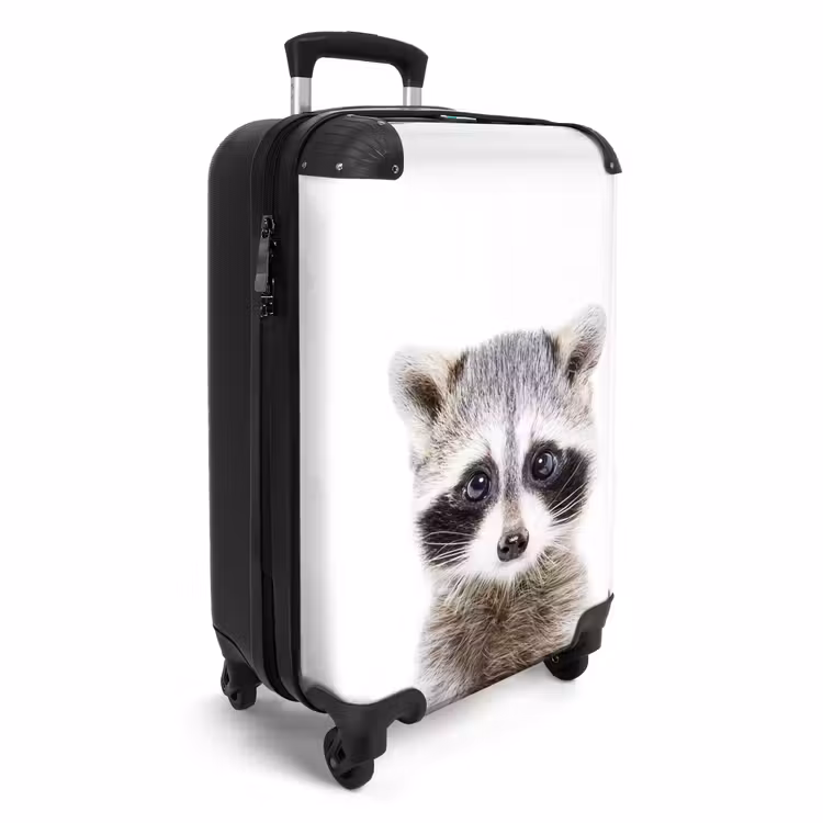 Suitcase - Rachid Racoon — 2