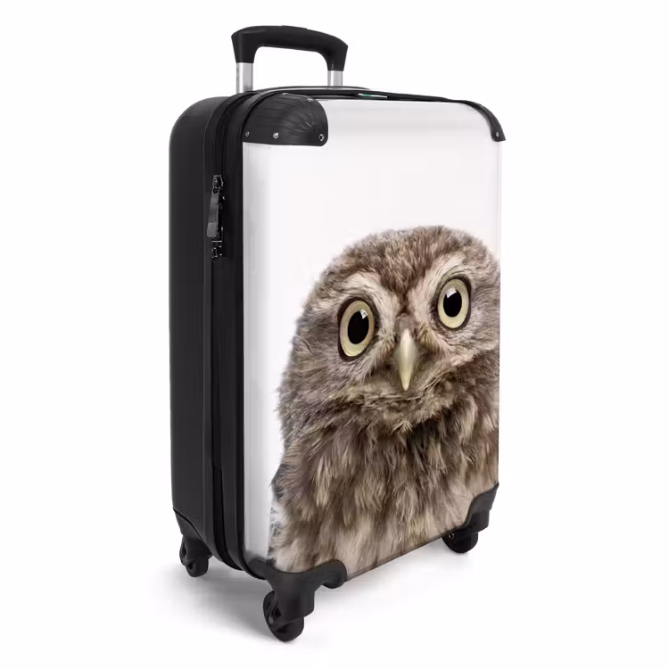 Suitcase - Ulke Owl — 2