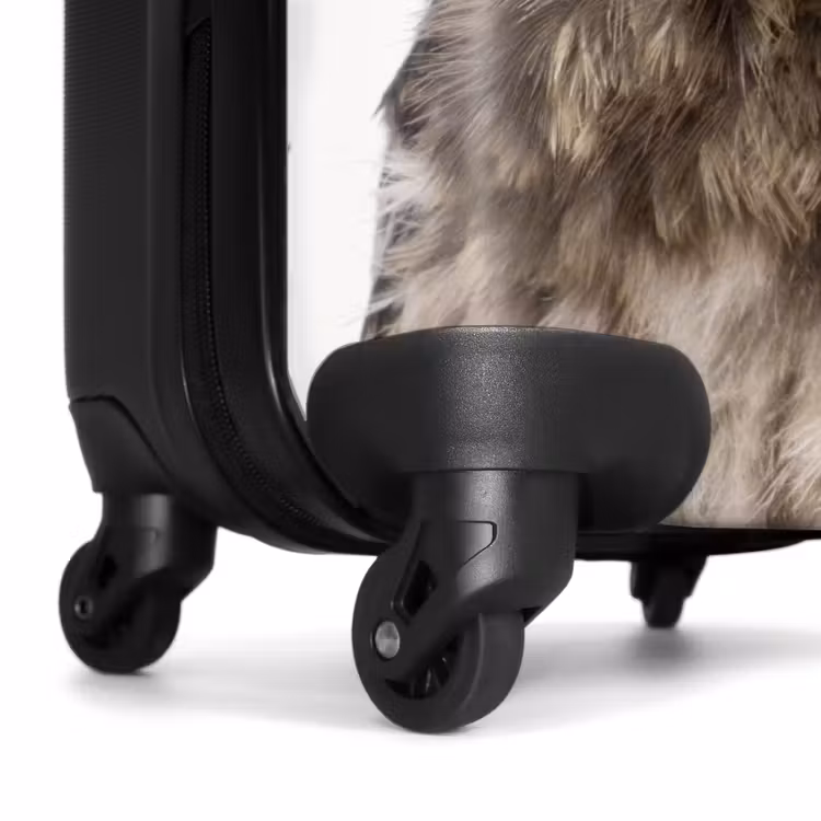 Suitcase - Ulke Owl — 6