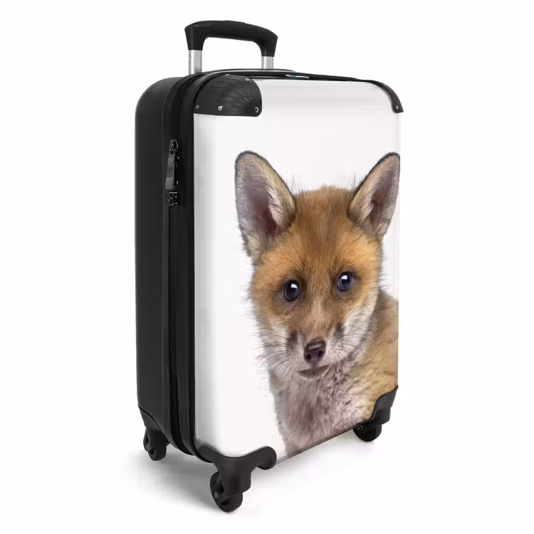 Suitcase - Victor Vos — 2