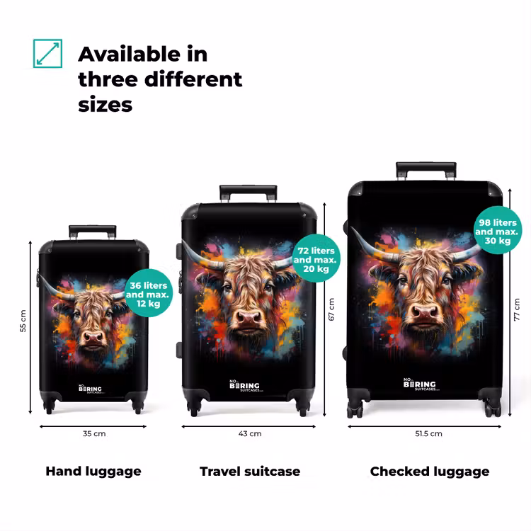 Suitcase - Scottish highlander as graffiti art — 3