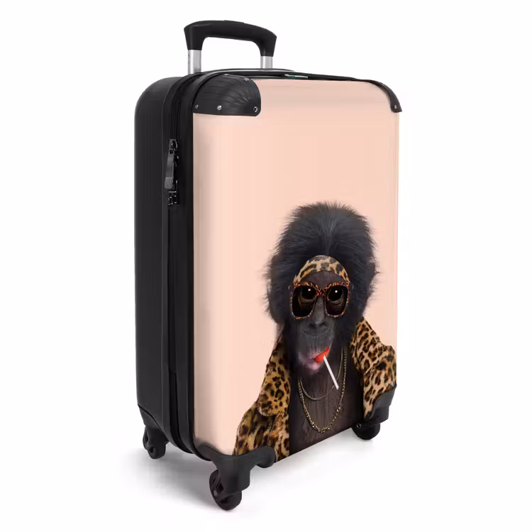 Suitcase - Monkey with Loly — 2