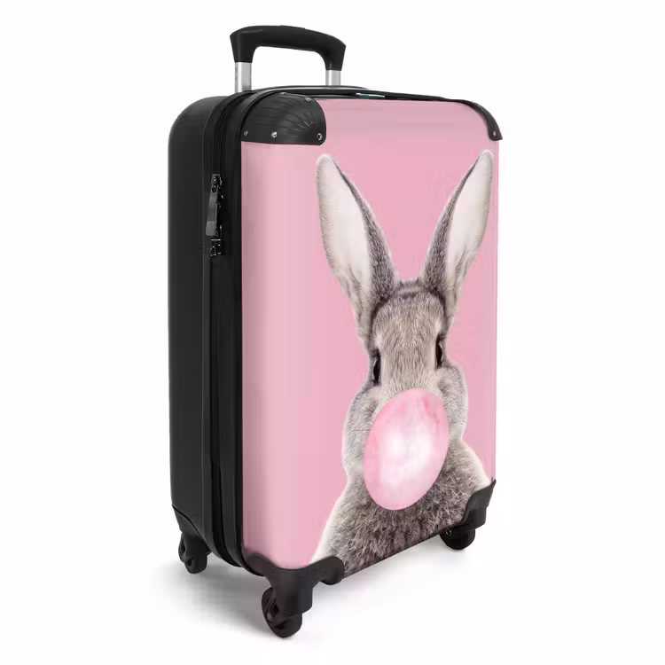 Suitcase - Chewing gnaw — 2