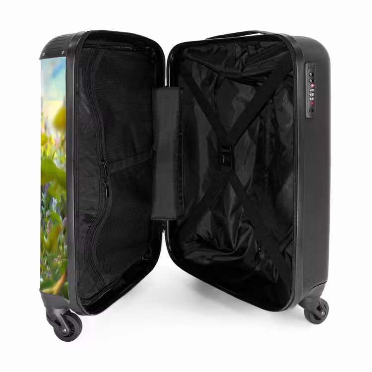 Suitcase - Charley rabbit — 4