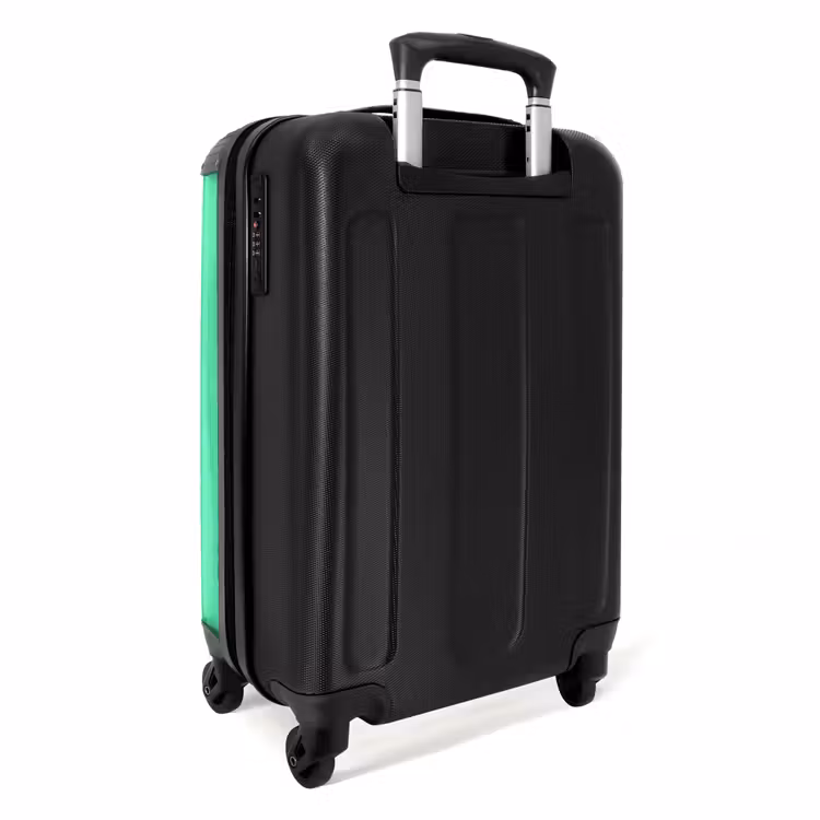 Suitcase - Flamingo cone — 3