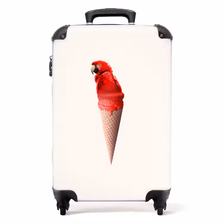 Suitcase - Parrot cone — 1