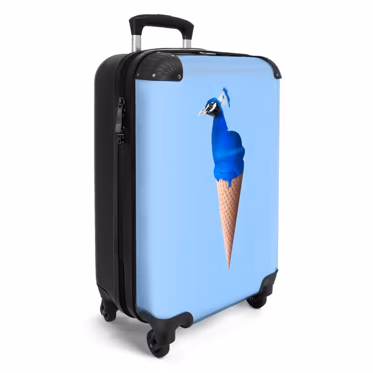 Suitcase - Peacock cone — 2