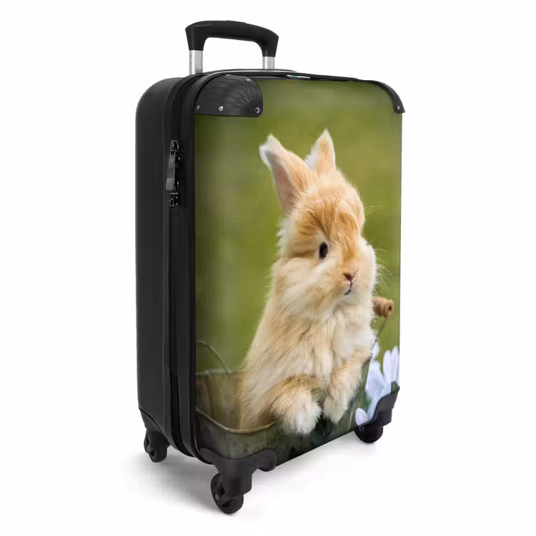Suitcase - Rabbit in flower pot — 2