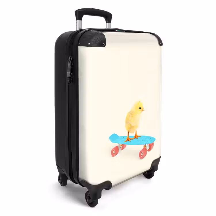 Suitcase - Carrying chick — 2