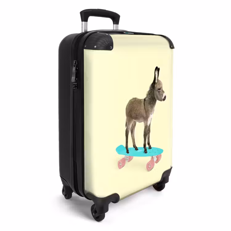 Suitcase - Donkey ride — 2
