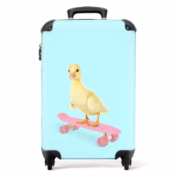 Suitcase - Skating beak — 1