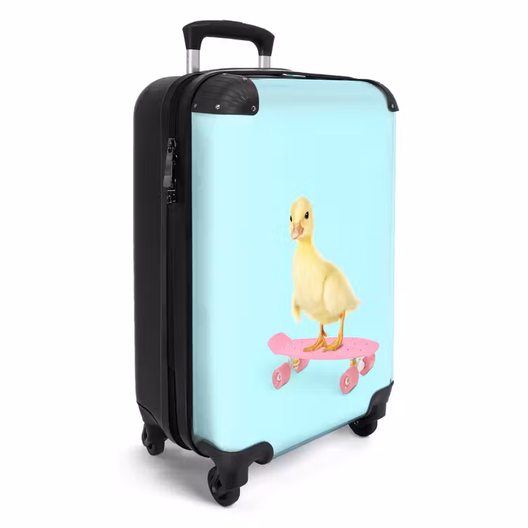 Suitcase - Skating beak — 2