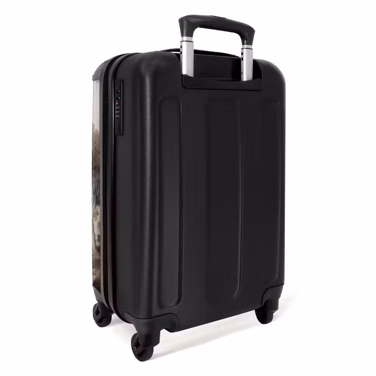Suitcase - Classic - Landscape - Neutral — 4