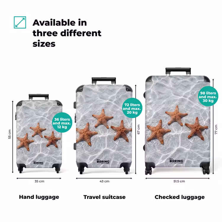 Suitcase - Starfish - Water - Clear — 3