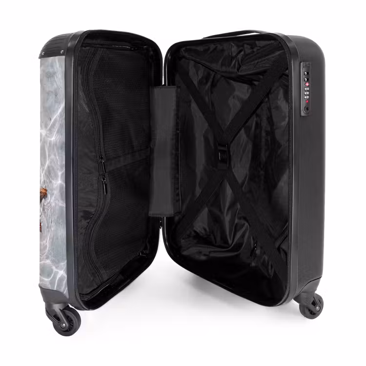 Suitcase - Starfish - Water - Clear — 5