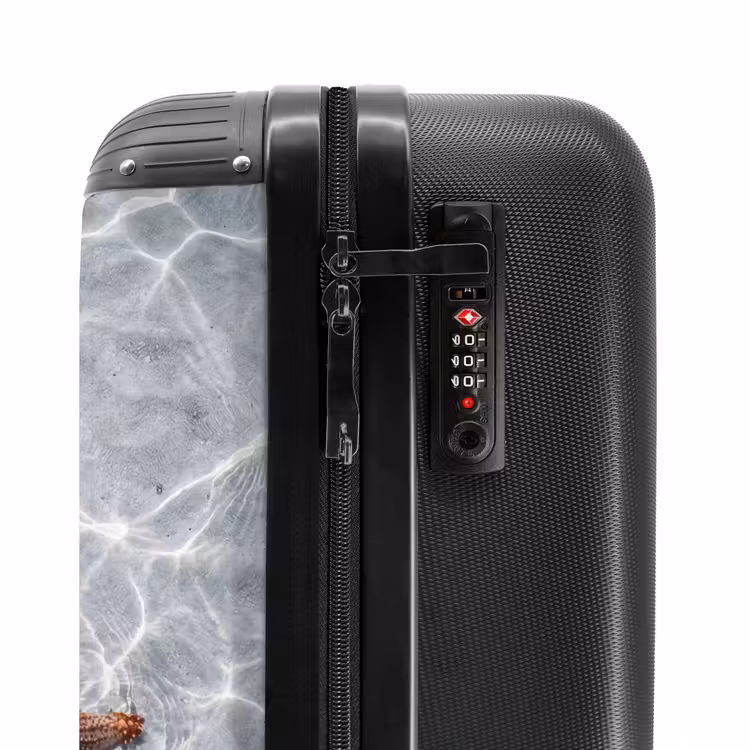Suitcase - Starfish - Water - Clear — 6