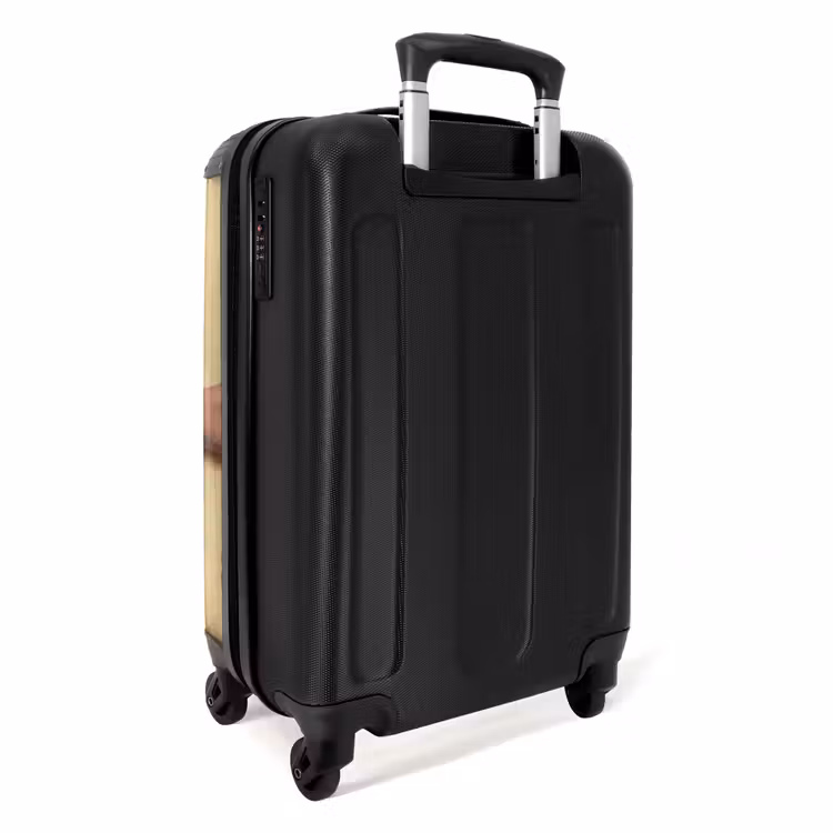 Suitcase - Classical - Art - Humor — 4