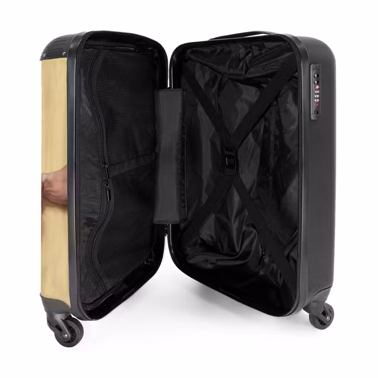Suitcase - Classical - Art - Humor — 5