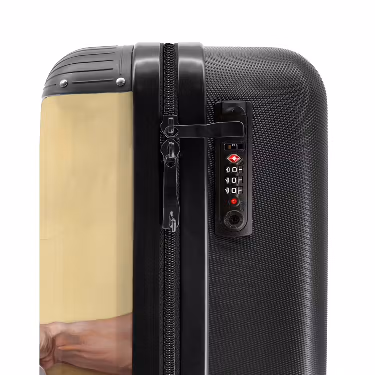 Suitcase - Classical - Art - Humor — 6