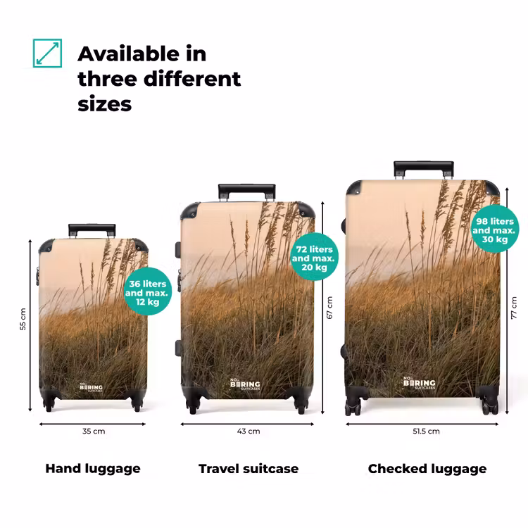 Suitcase - Dune landscape - Sunset - Beach — 3