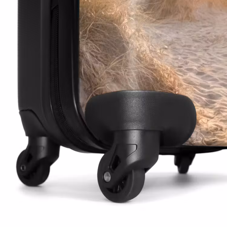 Suitcase - Dunes - Beach - Sea — 7