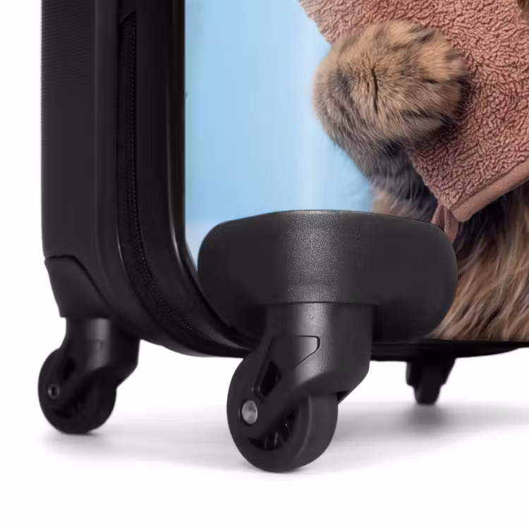 Suitcase - Cat - Towel - Washcloth - Soap — 7