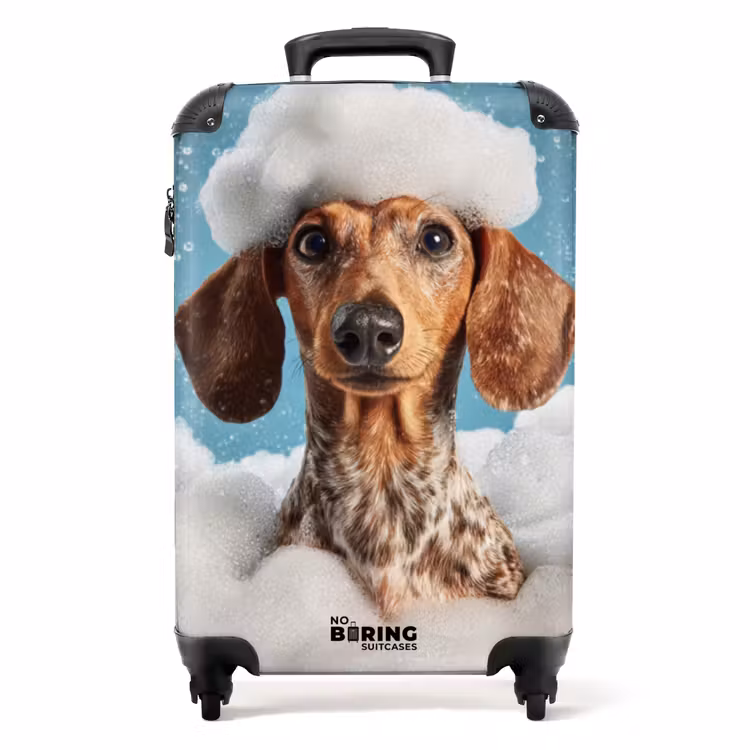 Suitcase - Dachshund - Bath - Foam - Water drops — 1