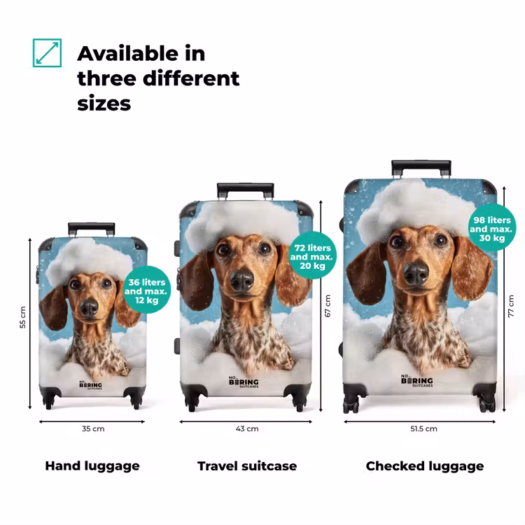 Suitcase - Dachshund - Bath - Foam - Water drops — 3