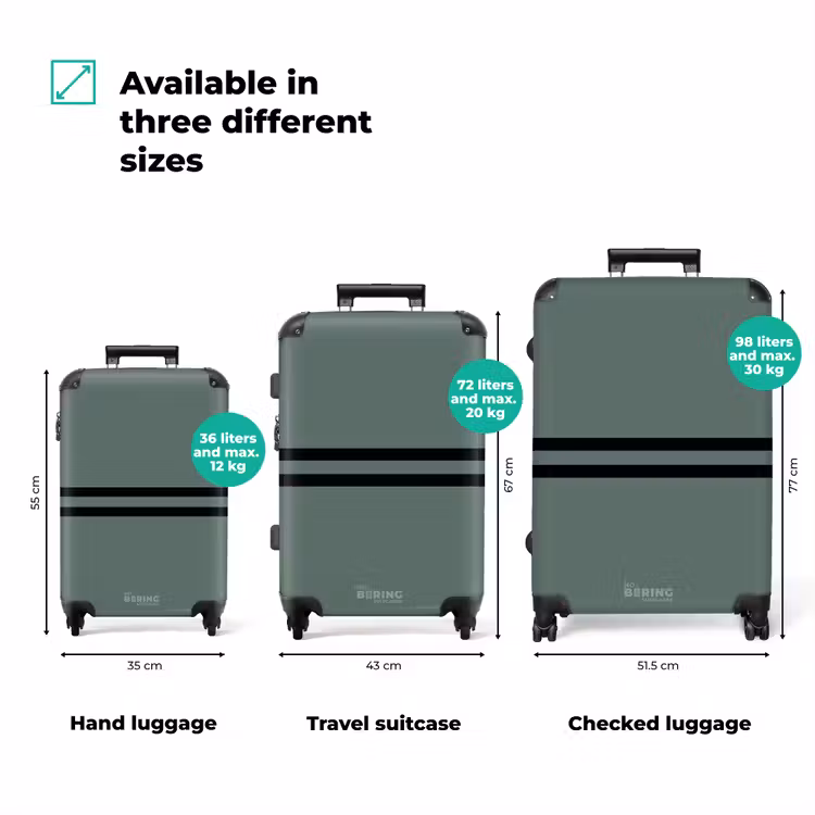 Suitcase - Green background with double black horizontal stripes — 3