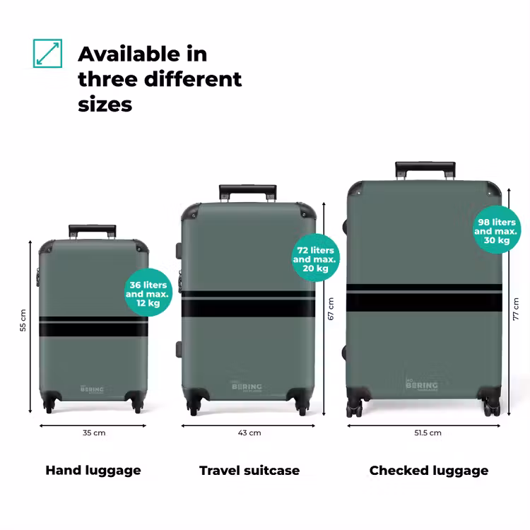Suitcase - Green background with double horizontal stripes — 3