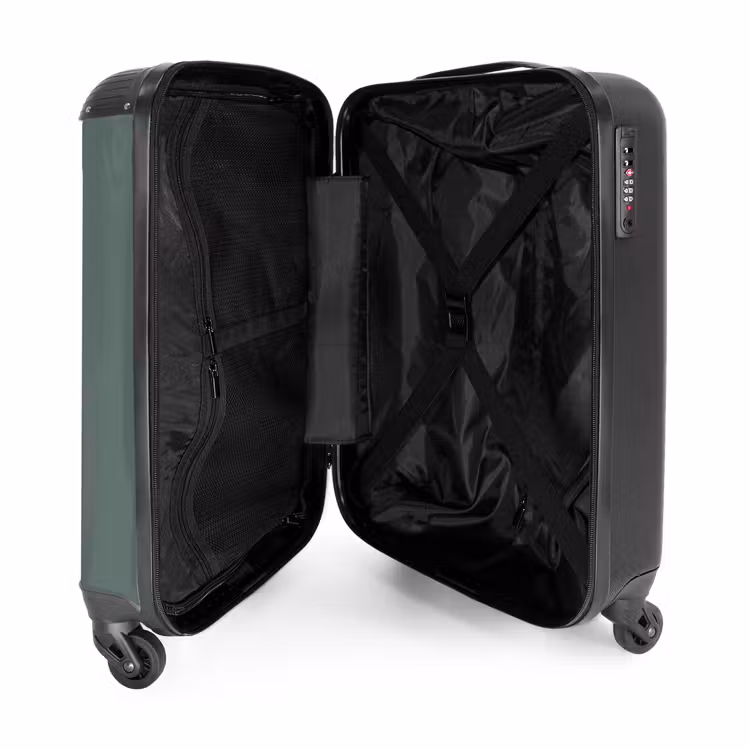 Suitcase - Green background with double vertical black stripes — 5