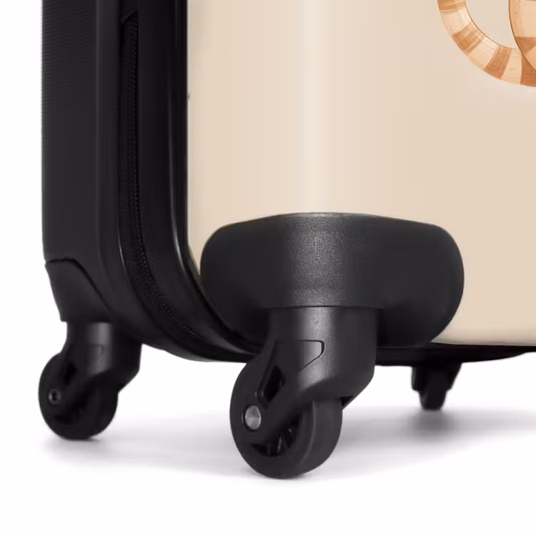 Suitcase - Kitten in the colors beige and white — 6