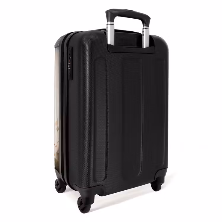 Suitcase - Ludo lion — 3