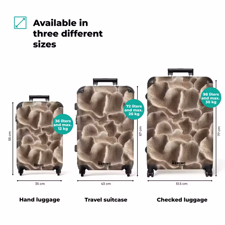 Suitcase - Fan shape - Beige - Fiber texture — 3
