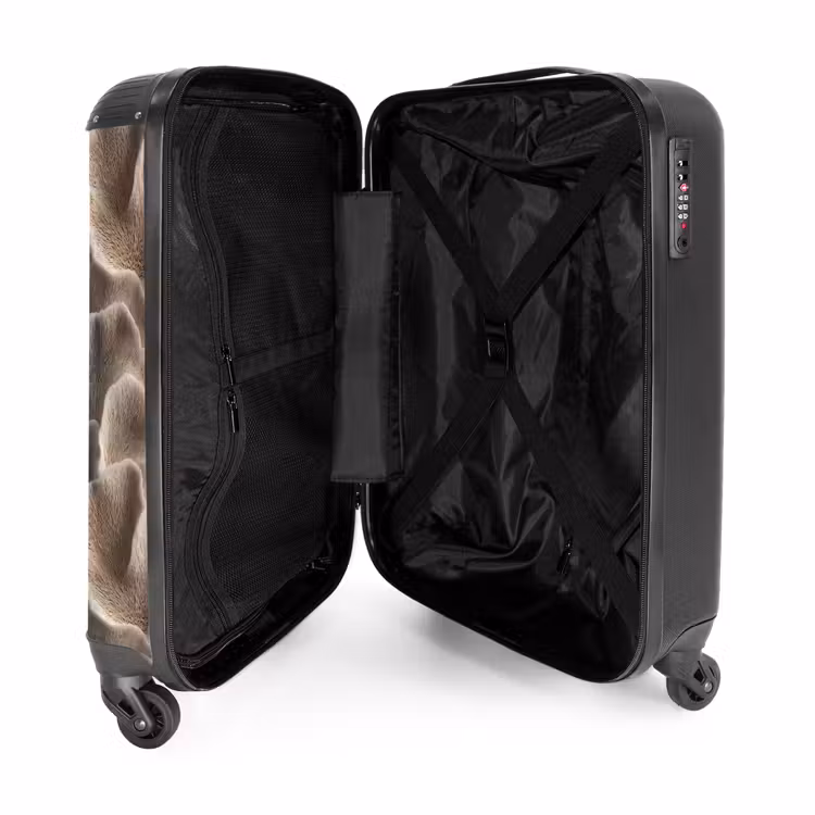 Suitcase - Fan shape - Beige - Fiber texture — 5