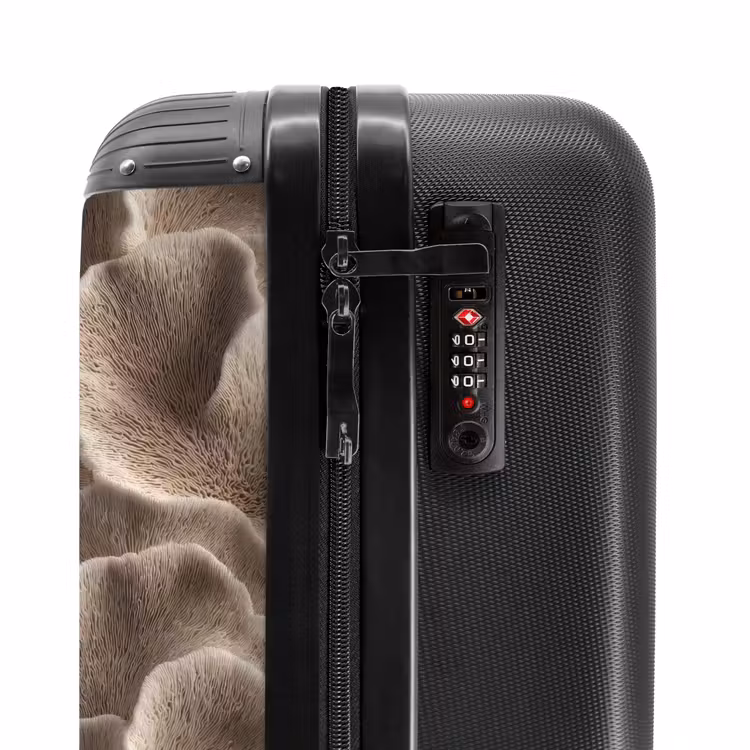 Suitcase - Fan shape - Beige - Fiber texture — 6