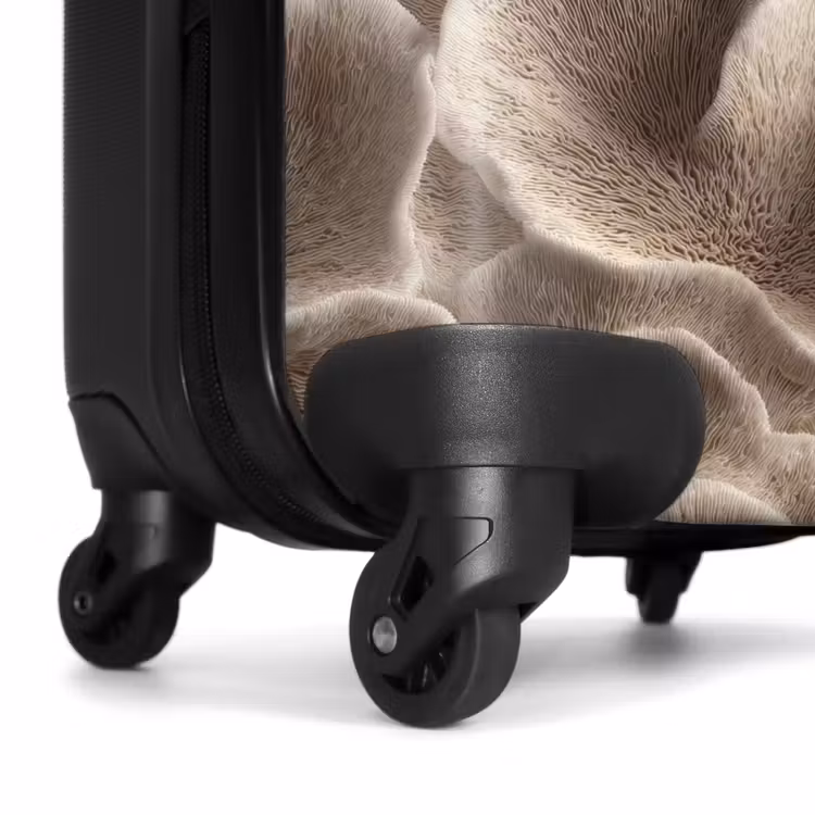 Suitcase - Fan shape - Beige - Fiber texture — 7