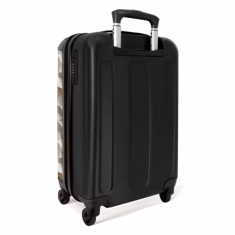 Suitcase - Shells - Fan Shape - White — 4