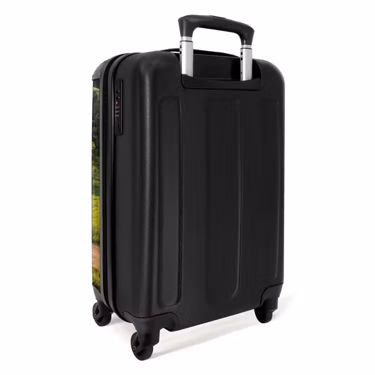 Suitcase - Road - Meadow - Nature - Green — 4