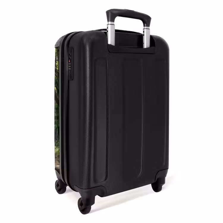 Suitcase - Road - Trees - Nature - Greenery — 4